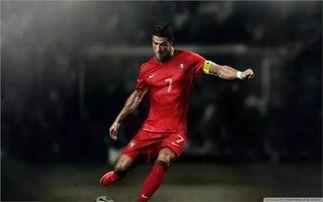 林永雄：我是体育场的英雄,体育场的英雄传奇